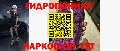 apvp Славгород
