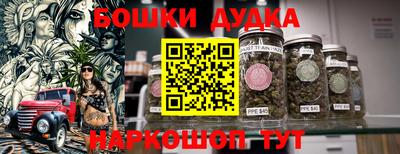apvp Славгород