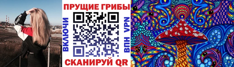 Галлюциногенные грибы мицелий  где купить наркоту  Унеча 