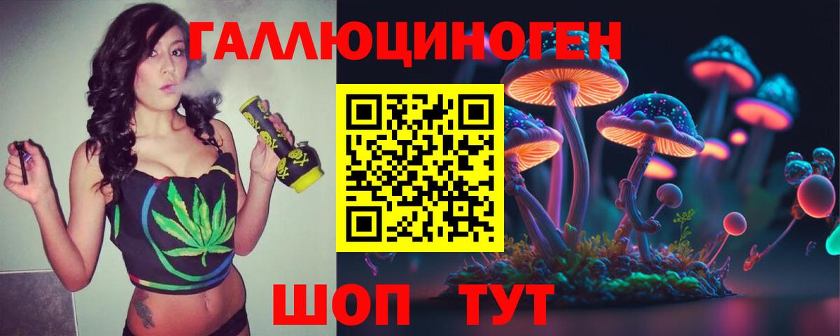 Унеча  где найти   Вход с VPN  Галлюциногенные грибы ЛСД 