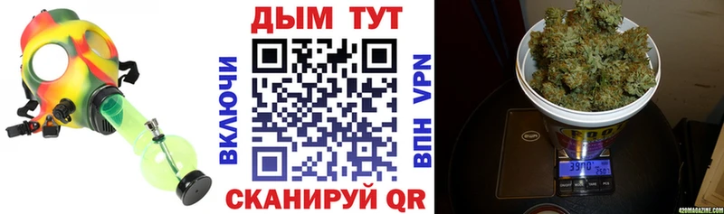 где купить наркоту  Унеча  Бошки марихуана Ganja 